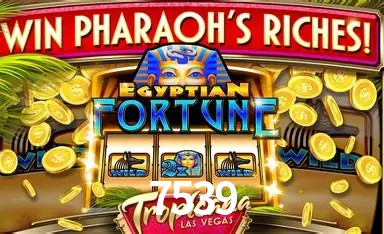 Explorando a Categoria de Eventos em Apostas na 7539